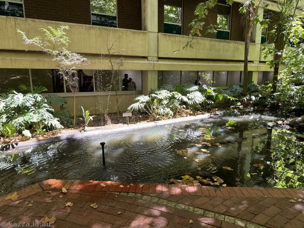 The Duckpond in Flinders Medical Centre