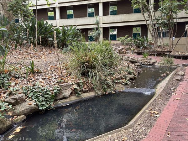 Watercourse at the Duckpond