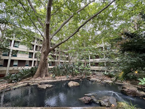 Upper Duckpond
