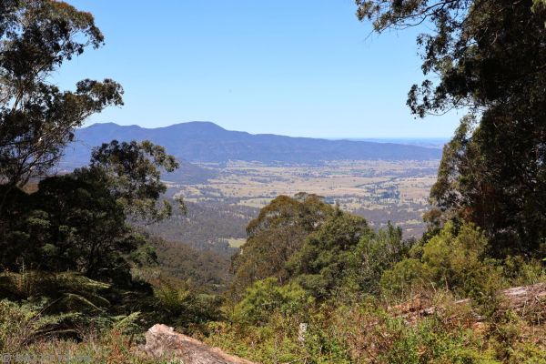 View from Fred Piper Memorial Lookout