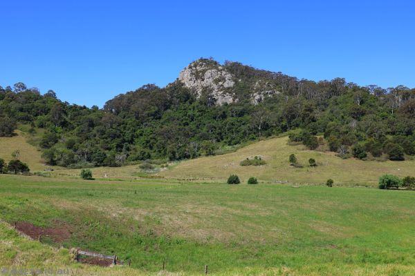 Little Dromedary near Tilba