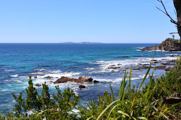 View to Montague Island from Bar Rock Lookout