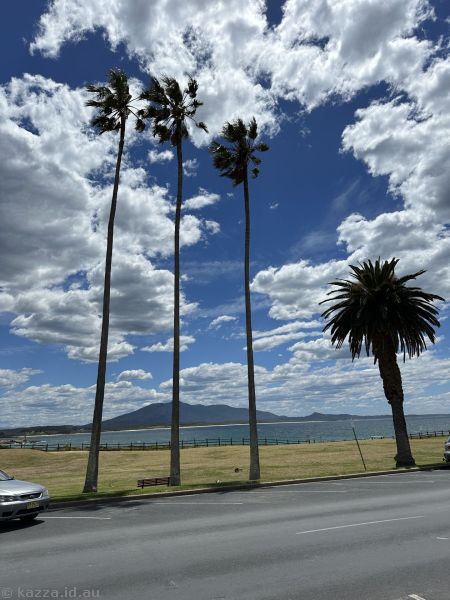 View to Mt Dromedary from Bermagui