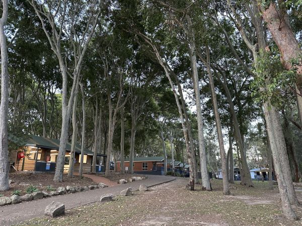 View of the cabins at Discovery Parks Narooma Beach