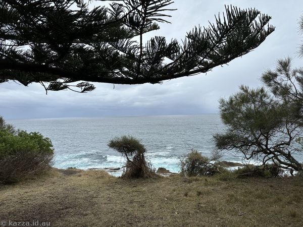 Coast at Potato Point