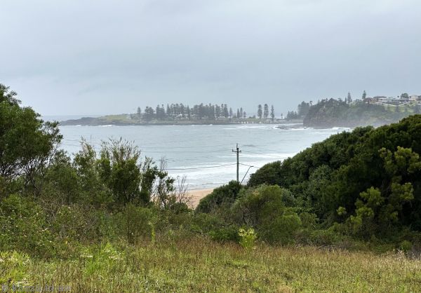 View of Kiama from near Riverside Drive