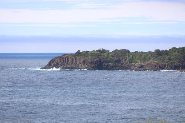 Bombo headland