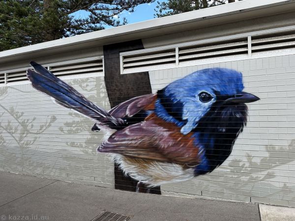 Fairy wren mural on the Kiama Visitor's Centre