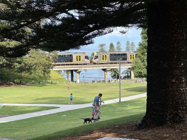 Train crossing the Shoalhaven Street bridge
