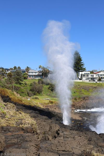 Little Blowhole
