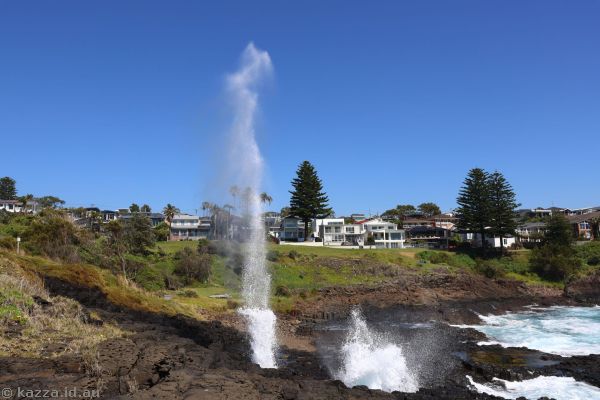 Little Blowhole