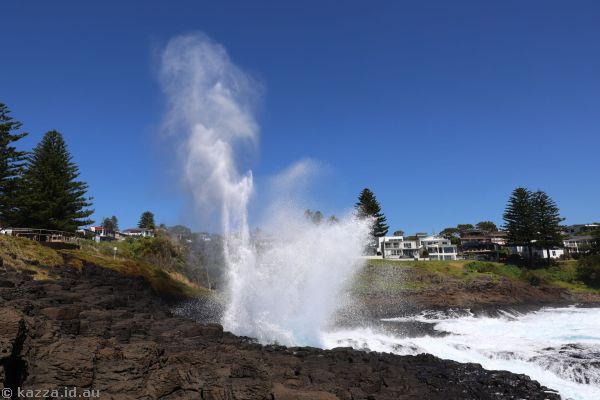 Little Blowhole