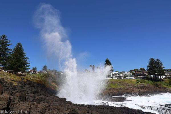 Little Blowhole