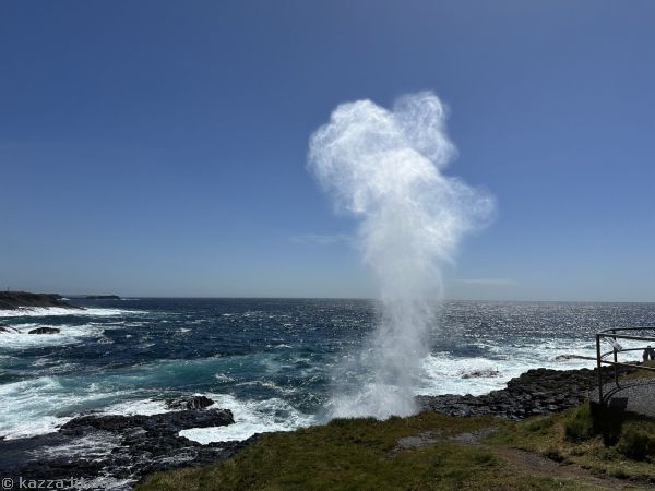 Little Blowhole