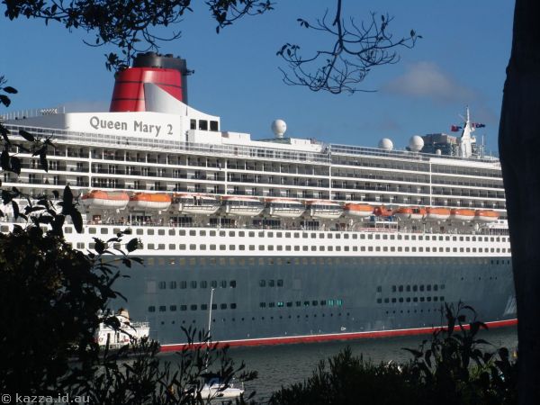 Looking through the trees