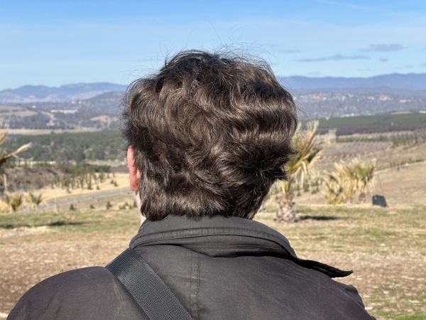 Hair