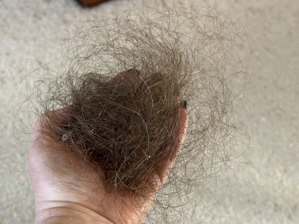 Hairball