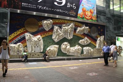 Dogs at Shibuya