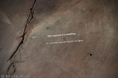 Giant Sequoia cross section