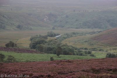 Train passing through the moors