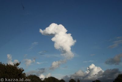 Cute cloud