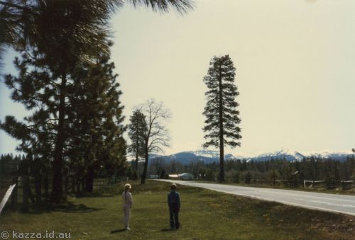 Lassen Peak in distance - 10457'