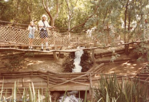 Suspension bridge on Tom Sawyer's Island