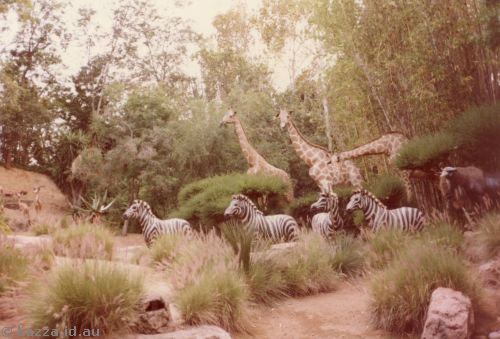 Scene of giraffes and zebras from Jungle Boat