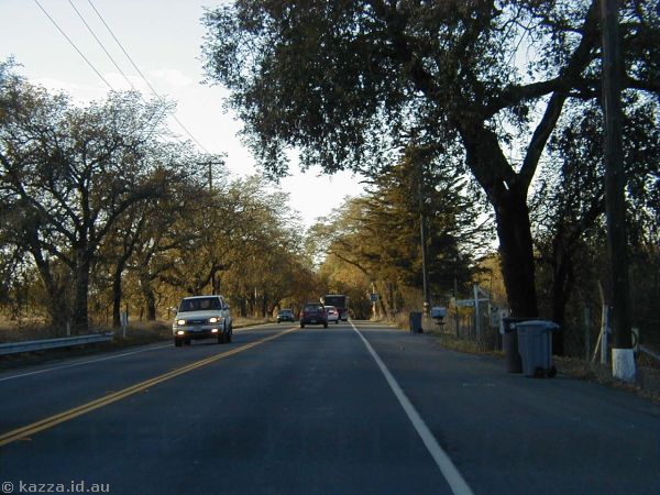 Wine Country road<br>The drive we had in the country was good, but most of the vines had lost all their leaves for winter and the countryside was very brown and not overly pretty
