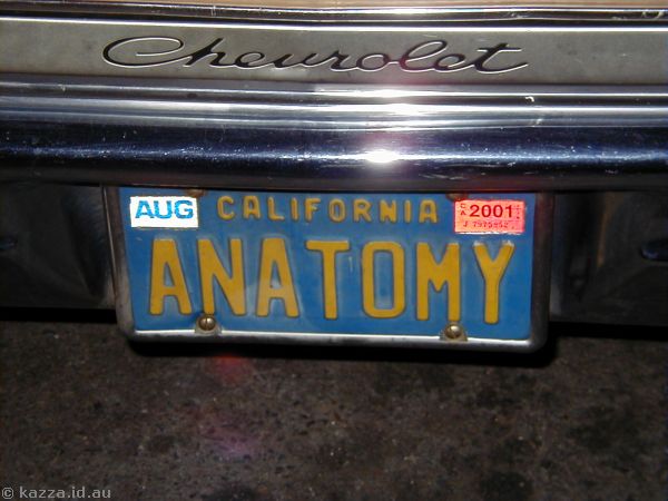 ANATOMY number plate I saw on a car in San Francisco