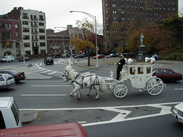 Horse-drawn carriage in Brooklyn