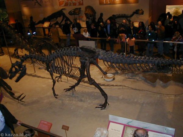 More dinosaurs