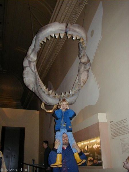 Huge shark jaws