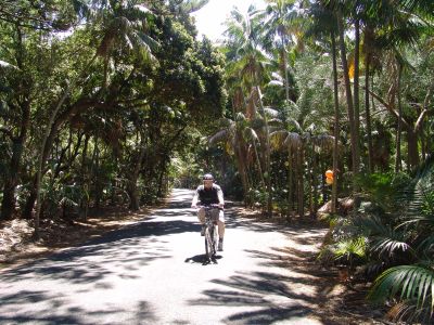 You cycle everywhere on Lord Howe Island