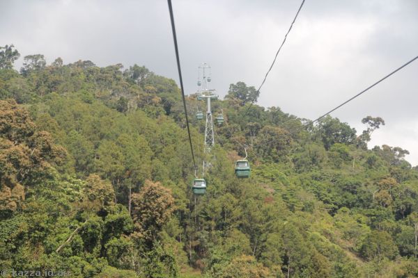 Going up the skyrail