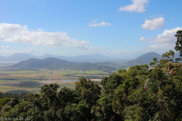 View from the skyrail