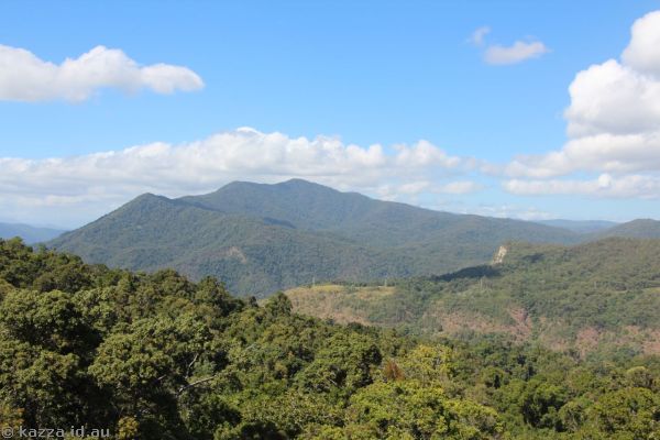 View from the skyrail