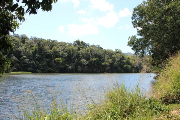 Barron River at Kuranda