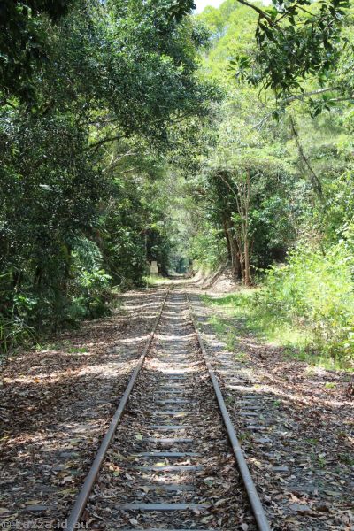 Crossing the railway line west of Kuranda