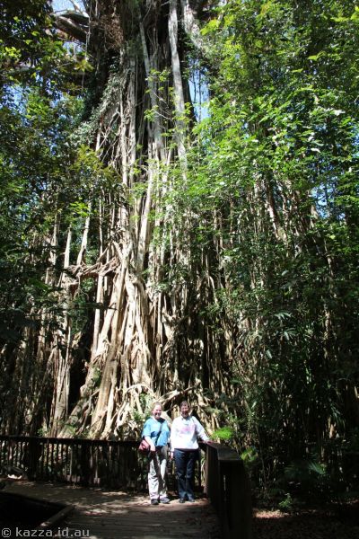 Me and Mum at Cathedral Fig Tree