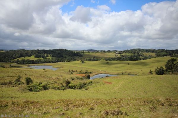 Rolling countryside on Millaa Millaa-Malanda Road