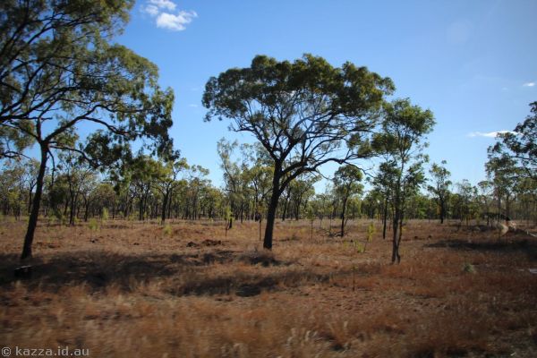 Countryside near Undara