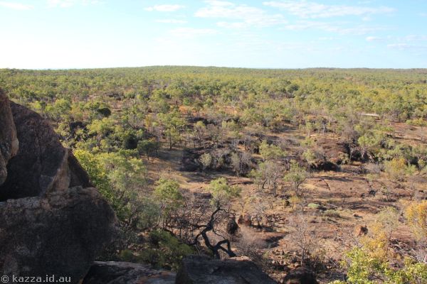 View from Bluff Walk Lookout