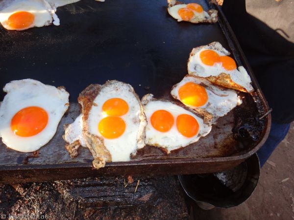 All the double yolker eggs!!