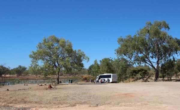 Morning tea at Cumberland Lagoon