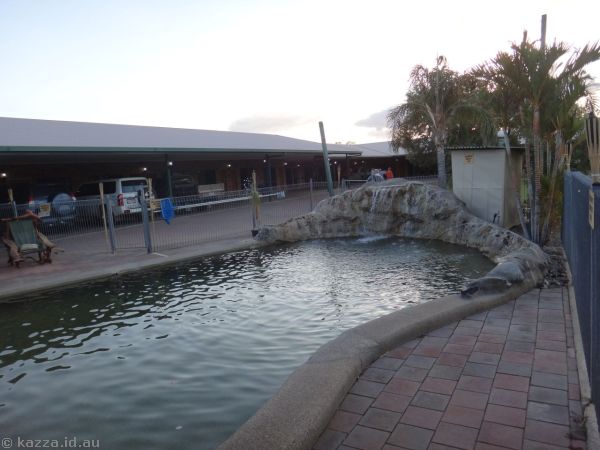 Pool at the motor inn