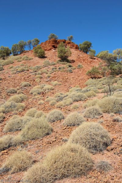 Hillside at the Dinosaur Stampede National Monument