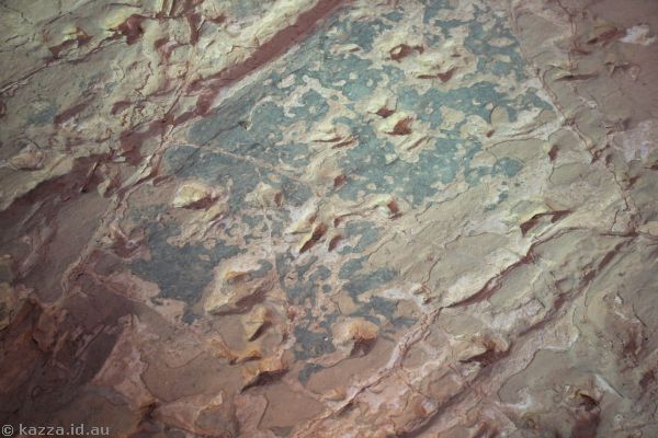 Dinosaur stampede tracks