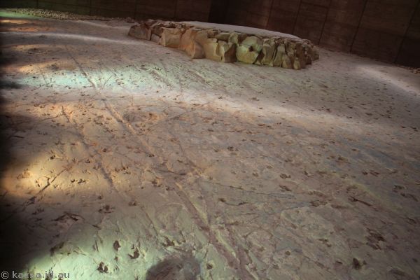 Dinosaur stampede tracks