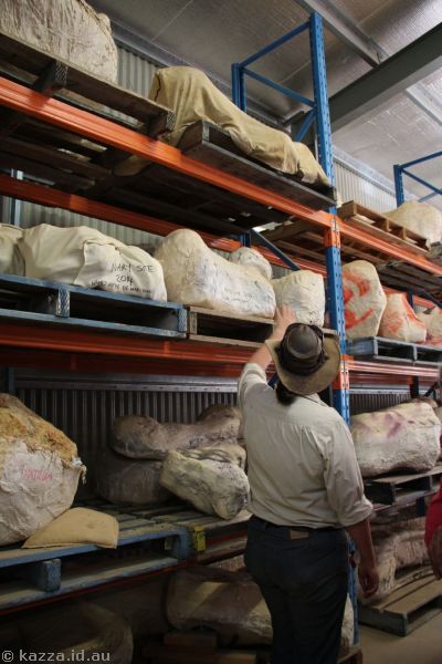 Kathrine explaining the process of cataloguing and storing fossils